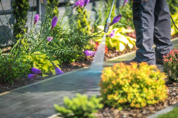  East Porterville, CA Pressure Washing Pros
